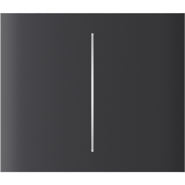 Ajax CenterButton (2-gang) vertical [55] ASP graphite кнопка