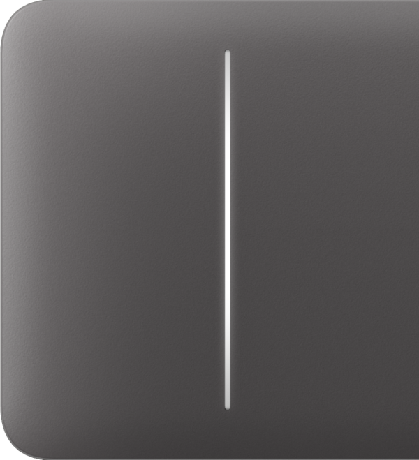 Ajax SideButton (2-gang) [55] grey кнопка