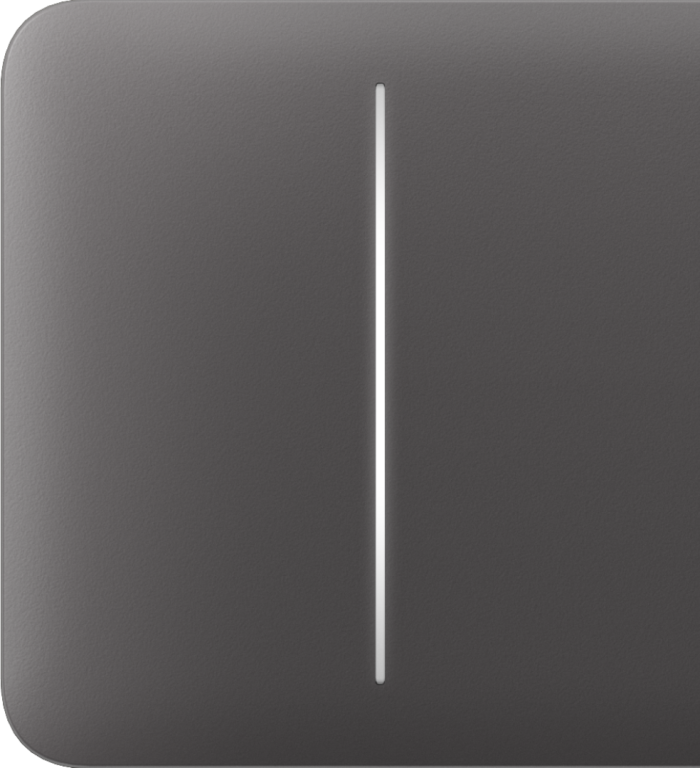 Ajax SideButton (2-gang) [55] grey кнопка